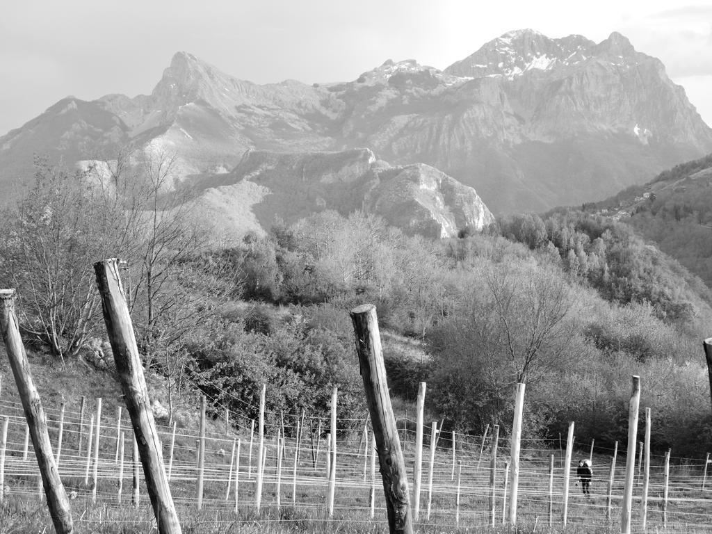 Rifugio Alpi Apuane Hotel Careggine ภายนอก รูปภาพ