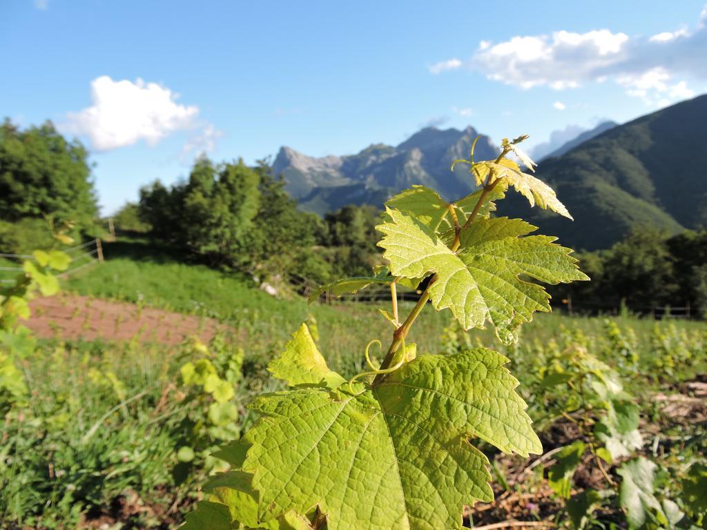 Rifugio Alpi Apuane Hotel Careggine ภายนอก รูปภาพ