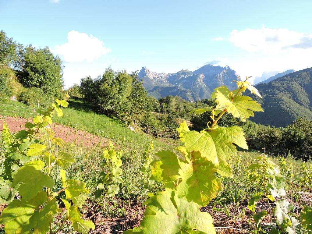 Rifugio Alpi Apuane Hotel Careggine ภายนอก รูปภาพ