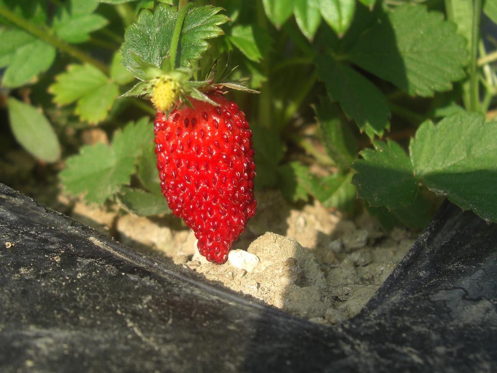 Rifugio Alpi Apuane Hotel Careggine ภายนอก รูปภาพ